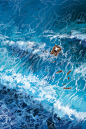 Sylvain Sarrailh : Art director / Concept Artist at Umeshu Lovers