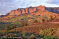 Cimarron Ridge，不敌国家森林，科罗拉多州冈尼森县
Cimarron Ridge, Uncompahgre National Forest, Gunnison county, Colorado