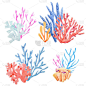 水彩的水下珊瑚
