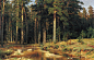 Ivan Ivanovich Shishkin_油画_新浪轻博客