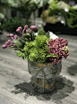 Mini Floral Arrangement | Purple Green | Fall