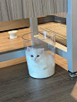 濱口竜介