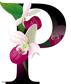 陈择笙采集到字母+花卉