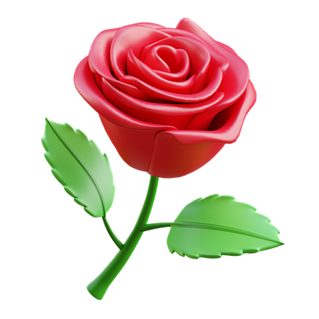 Rose Flower 3D Illus...