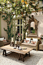 Grape vine growing on a pergola. Great summer shade for a patio and the bonus, fruit in the fall.