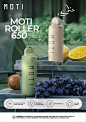 MOTI ROLLER 650 B5_画板 1