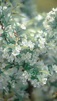 人物五官与肢体参考&amp;其他素材