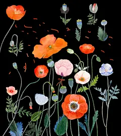 Flower : Illustrations for HuiYi