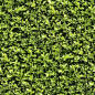 Seamless Hedge Texture by hhh316.deviantart.com on @DeviantArt: 