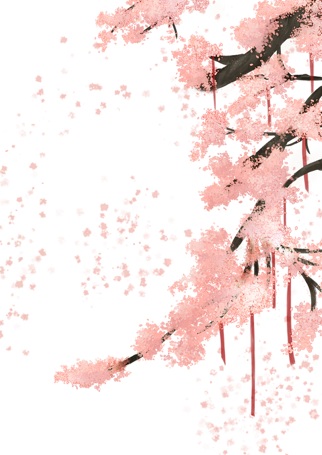 我又来啦～p1是jpg格式p2是png格...
