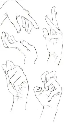 手掌张开五指 右手 男Hands PNG, hand image free-花瓣网