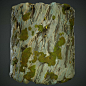 Stylized Bark