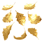 金色叶子-PNG-免扣素材-漂浮装饰