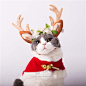 *摩卡喵*宠物猫咪狗狗圣诞节帽子围巾节日变身装新年斗篷圣诞衣服-淘宝网