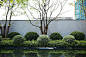 滨江壹号示范区 | 一方池，一方境 : One Central Display Area | One Pool, One Landscape