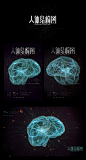 C4D x射线医疗图 大脑 结构图 海报设计 白无常电商设计