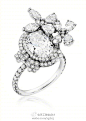  中国设计师胡茵菲 (Anna Hu)的花朵珠宝 喜欢第一款贵芙蓉系列的纯白双指戒 这么大一朵生动的宝石花戴在手上 感觉一定很好～ 因为没有过多色彩 也不会显得特别夸张