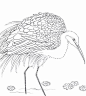 中国传统白描图谱