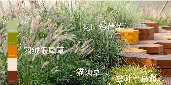 植物配置实景 (173)
