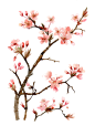 2f58b1b2045c1af84ea5786501e3ad6a