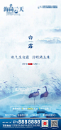 白露节气海报