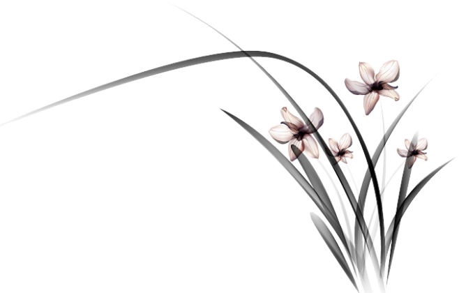 兰花 植物 装饰 png 免抠素材