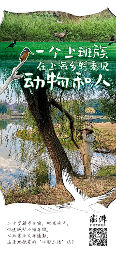 壞壊ヤ孩孓氣采集到海报
