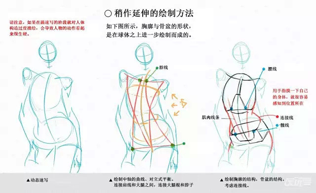 【绘画教程】如何将动态速写用到极致？