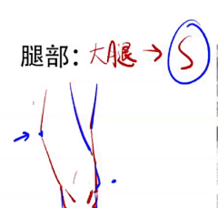 梳芒mollyOvO采集到未命名画板