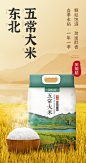 正宗2020农家五常大米5kg东北稻花香米2号黑龙江新米10斤装特级-tmall.com天猫