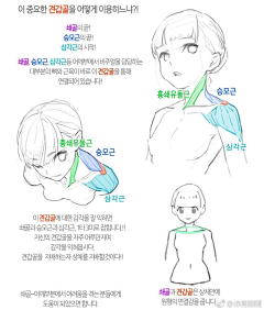 古骨子采集到教程