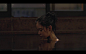 苍井优 / 蜂蜜与四叶草(2006) ​​​​
