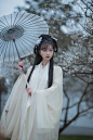 「遥知不是雪，为有暗香来」_人像_颇可网,汉服,古风,汉服写真,梅花