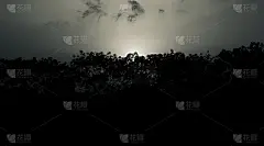 下午，树叶的剪影围绕在湖边