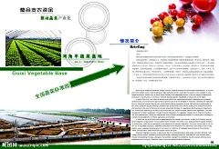 蔬菜基地 绿色食品 海报 底纹 背景 画册 宣传单 名片 证件 X展架 易拉宝 横幅 广告 底纹 花朵 图案 背景 炫丽