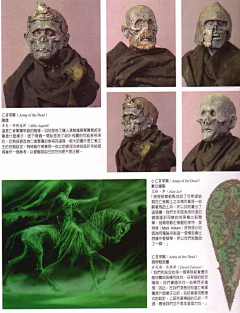 evo50采集到魔戒电影设定