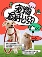 小红书风格平面海报排版版式
