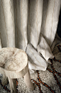 Escapade - Casamance