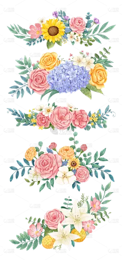 2309SC-素材组合-花朵花卉绿叶插画元素