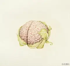 卷心菜、白菜、玉米、青瓜、哈密瓜、菠萝……大票水灵灵的塞肚子的蔬菜水果在艺术家Aurel Schmidt的手中变得不忍直视。菠萝的一头金色卷发层次分明，姜块长出脚趾，卷心菜整个变成人的大脑，白菜长出手臂……画面太美我不敢看……http://t.cn/RPjEKrA