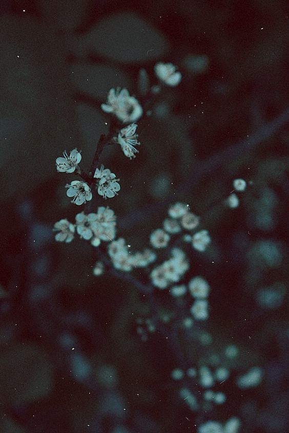 __  by Natalie Ina: