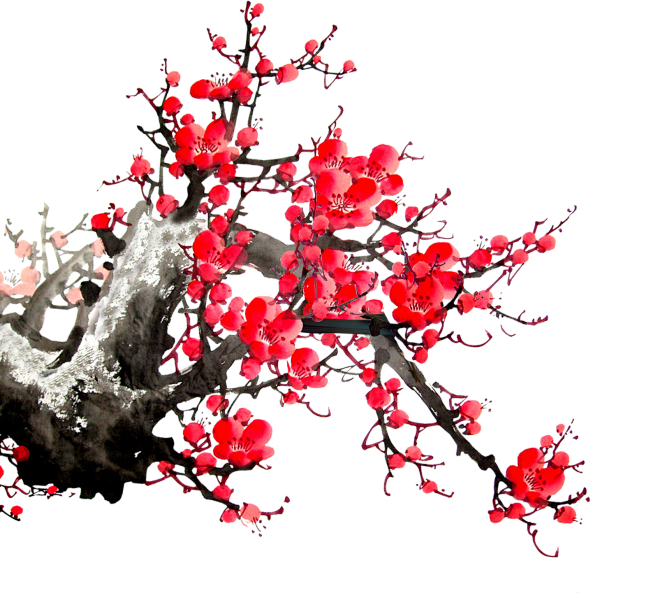 中国风绘画水墨梅花