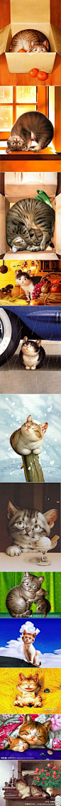 [【绘本】村松诚笔下的猫，送给所有喜欢猫的人。太萌了。]
