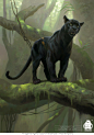 The Jungle Book: Bagheera concept, Michael Kutsche : The Jungle Book: Bagheera concept by Michael Kutsche on ArtStation.