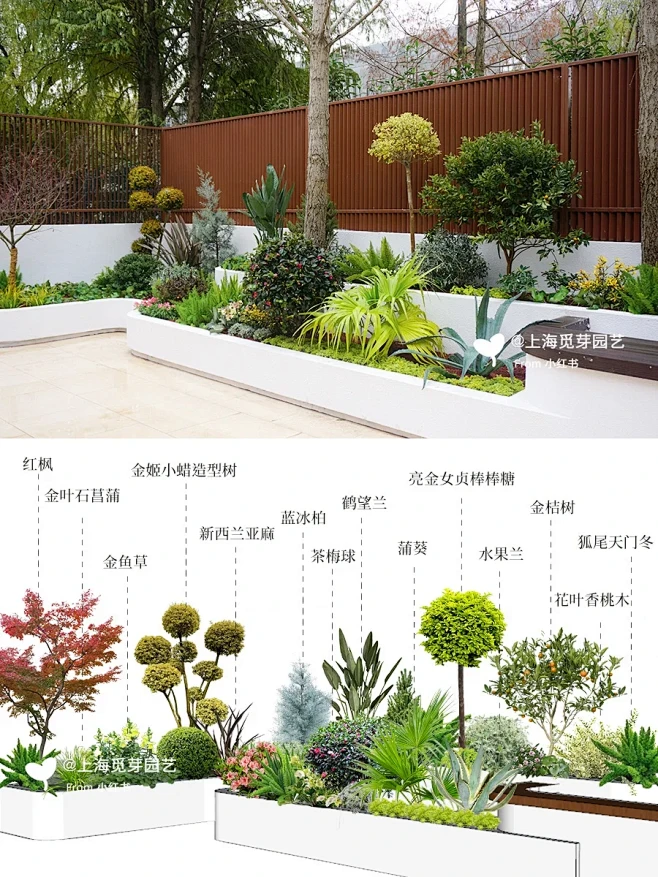 宝藏级干货~秋冬季低维护弧形花坛植物种植!-花瓣网