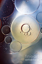Abstraction Oil Bubbles In Water