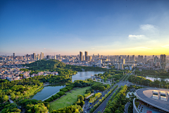 不是真的1采集到城市