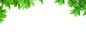Layer 6 copy 8