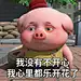 探探猫表情包：大声说出来，我们的目标是什么！07