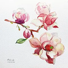 【个人楼】方块小鱼 2014年第四季度临摹写生_飞乐鸟色铅笔手绘吧_百度贴吧